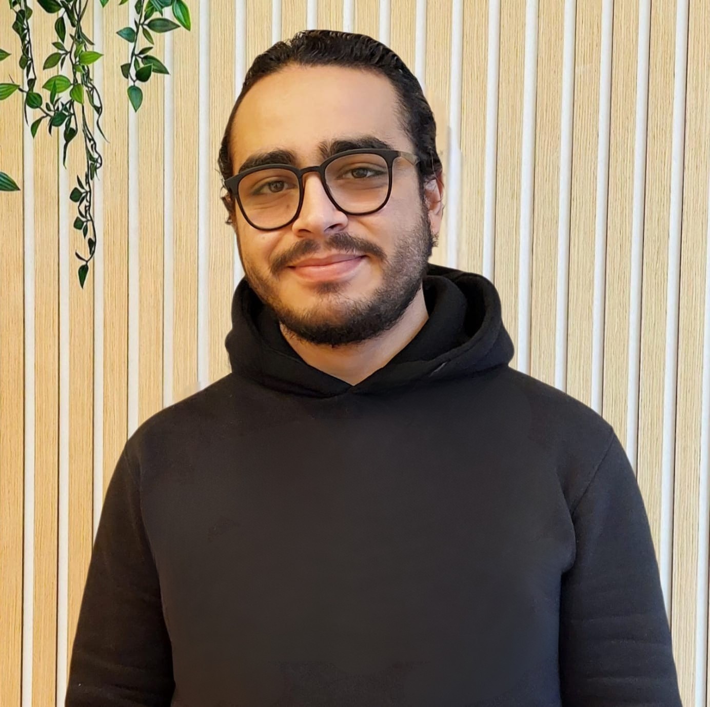 M. Alsioufy